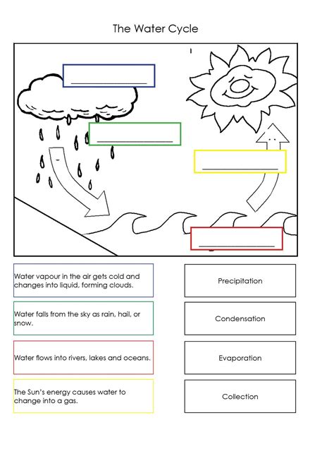 Image result for year 4 science worksheets | Water cycle worksheet, Water cycle, Science worksheets