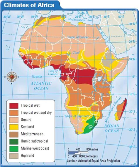 Africa Koppen Map The Different Climates In Africa Af - vrogue.co