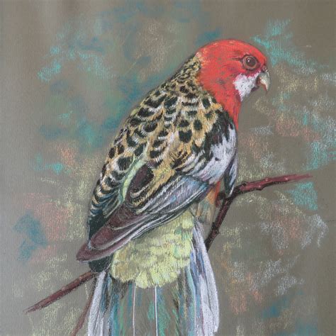 Bird Study Original Pastel Drawing By Carol Moore H 53 cm.Tropical Bird Framed Pastel Painting.