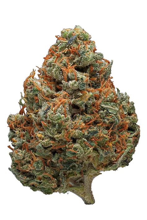 Durban poison - Nature’s Farmacy