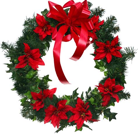 Christmas Plants Png - PNG Image Collection