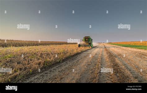 Harvesting of soybean field in sunset Stock Photo - Alamy