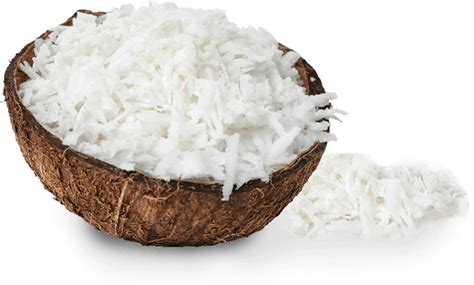 Organic Desiccated Coconut Flakes – Sanmik Food