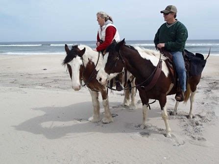 Horseback Riding - Assateague Island National Seashore (U.S. National Park Service)