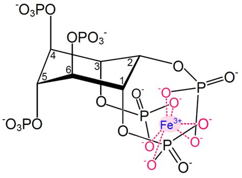 Nutrients | Free Full-Text | Potential of Phytase-Mediated Iron Release from Cereal-Based Foods ...