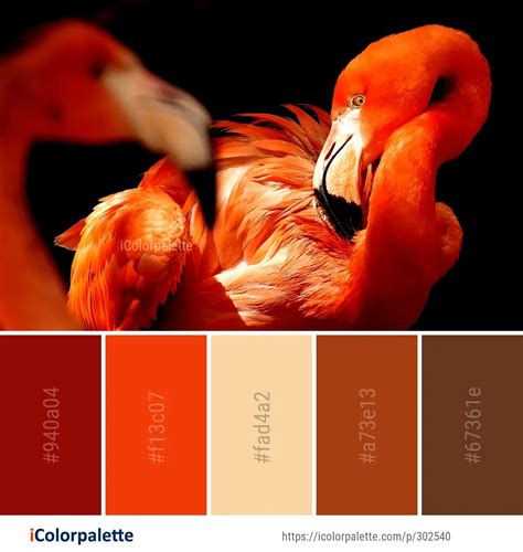 96 Flamingo Color Palette ideas in 2024 | iColorpalette