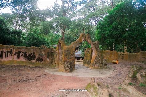 Visit To The Osun Osogbo Sacred Grove In Osun State - Travel - Nigeria