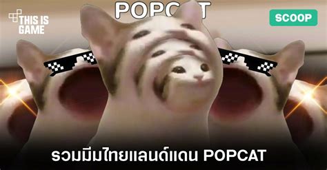 This Is Game Thailand : รวมมีมไทยแลนด์แดน Pop Cat : ข่าว, รีวิว, พรีวิว ...