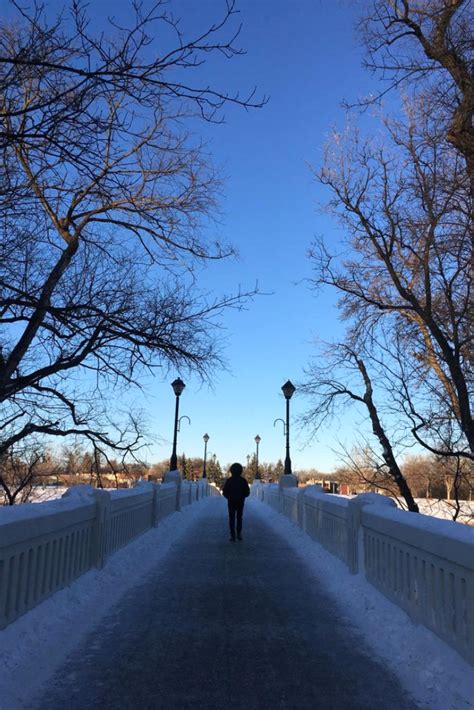 Assiniboine Park Bridge | Park, Winter wonderland, Outdoor