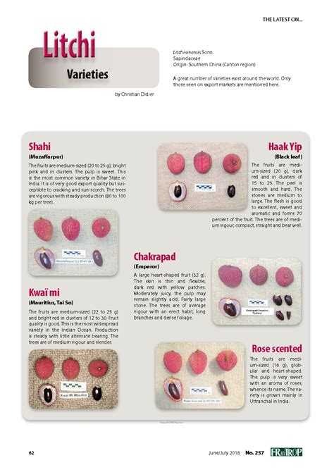 Litchi varieties