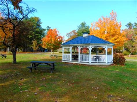 Reforestation Efforts Begin at Rollins Park in Concord | Concord, NH Patch