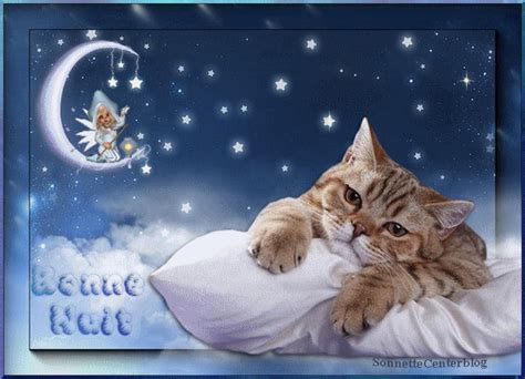 Bonne nuit ronronette. Good Night Wishes, Good Night Sweet Dreams ...