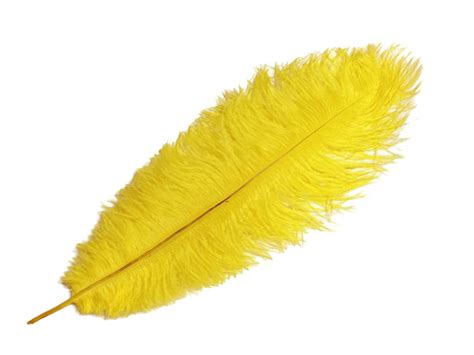 Ostrich Feathers 10 Pieces 17-19 YELLOW Ostrich Dyed