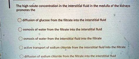 SOLVED: The high solute concentration in the interstitial fluid in the medulla of the kidneys ...