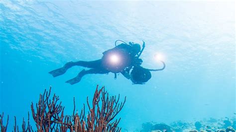 Underwater Photographer – NEELDIVING – SCUBA DIVING FOR BEGINNERS