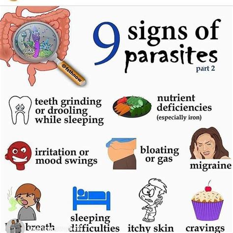 Symptoms Of Parasites Parasite Effects The Nhcaa | Hot Sex Picture