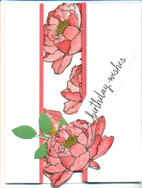 You've Got This, Build a Birthday, Watermelon Wonder, Cucumber Crush | Floral cards, Flower ...