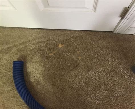 The Premier Clean | Carpet Repair | Springs Colorado