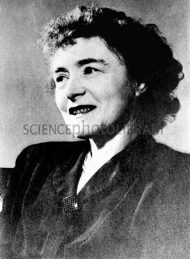 Gerty Cori, US biochemist - Stock Image H403/0371 | Women in history, Women science, The first ...