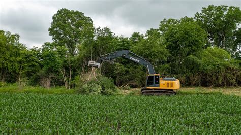 How to Safely Remove Your Trees - Useful DIY Projects