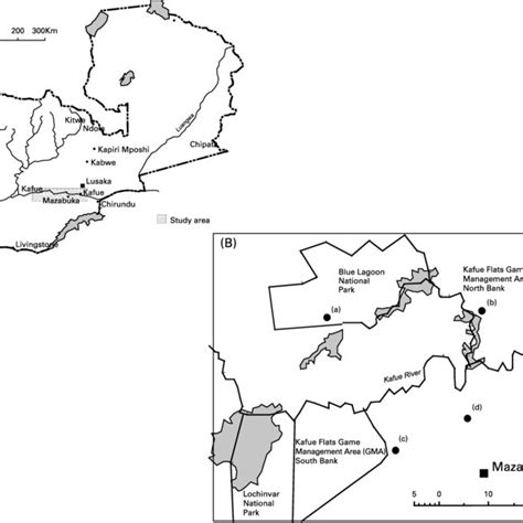 Map of Zambia showing (A) the Kafue River Basin and the Kafue Wetlands ...