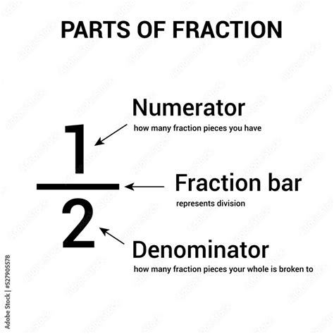 Parts of fraction. Numerator, denominator and fraction bar Stock Vector | Adobe Stock