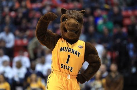 Murray State Basketball: Racers have become elite building block program