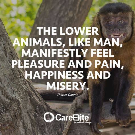 Animal welfare quotes: 60 sayings against animal cruelty - CareElite