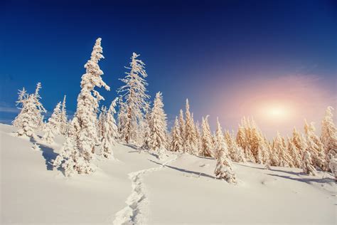 Fantastic winter landscape in the mountains of Ukraine - Law21