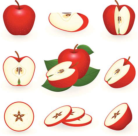 sliced apple clipart 20 free Cliparts | Download images on Clipground 2023