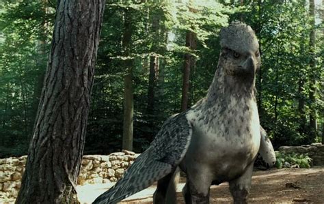 Buckbeak | Prisionero de azkaban, Animales fantasticos, Harry potter