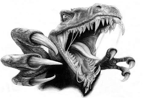 Raptor Drawing at PaintingValley.com | Explore collection of Raptor Drawing