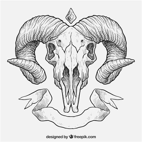 Hand drawn animal skull Vector | Premium Download