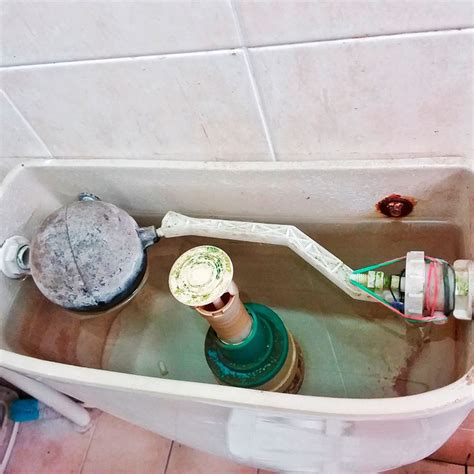 How to Clean and Maintain Your Toilet Tank | Family Handyman