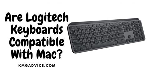 Are Logitech Keyboards Compatible With Mac? KMG Advice