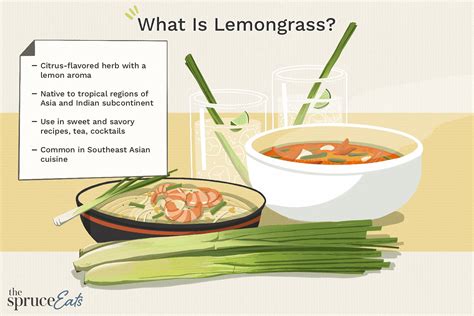 A Guide to Lemongrass and Its Many Uses