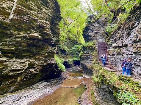 The Watkins Glen Gorge Trail: 19 Different Waterfalls on One Epic Hike ...