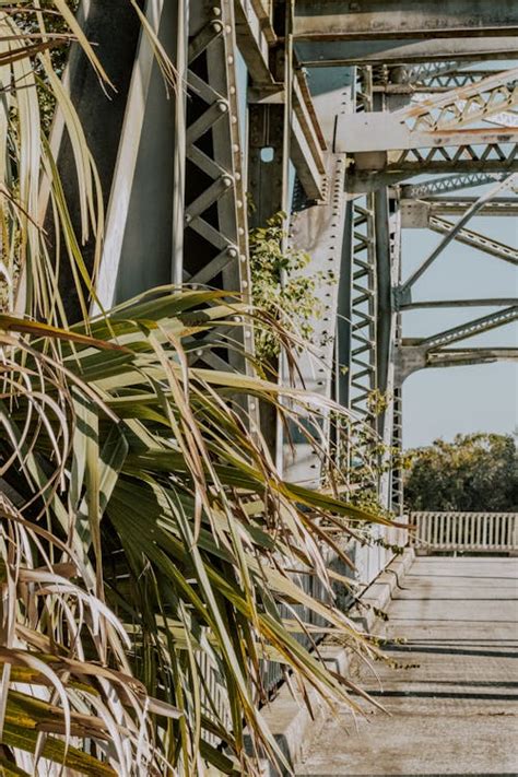 Steel Construction of Footbridge · Free Stock Photo