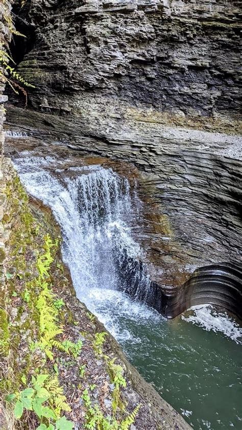 7 Best Finger Lakes Hiking Trails + Waterfall Views 2023 - Veggies Abroad