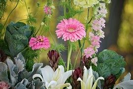 Free illustration: Flower, Floral, Background, Red - Free Image on Pixabay - 1646031