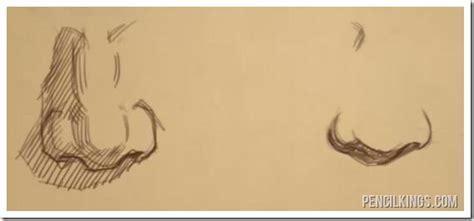 How To Draw Male Nose - Divisionhouse21