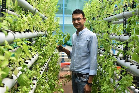 Hydroponics startups are slowly growing on Indian consumers | KrASIA