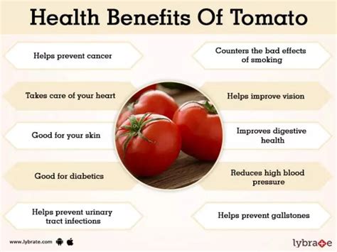 Is Tomato Fruit or Vegetable? Explained. | GreenStories