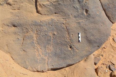 Neolithic rock art discovered in Egypt - UPI.com