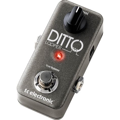 TC Electronic Ditto Looper Effects Pedal 960801001 B&H Photo