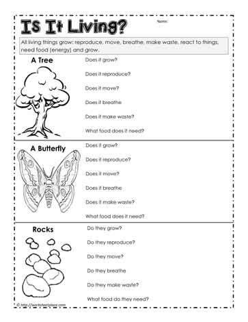 early humans and archaeology unit test grade 6 social - printable worksheets for kids cbse ...