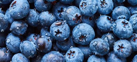 Top 7 Health Benefits of Blueberries + Blueberry Nutrition - Dr. Axe