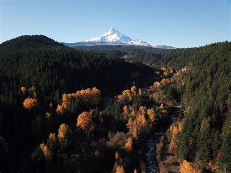 7 Pacific Northwest Fall Festivals You Won’t Want to Miss this Year - ROAMERICA