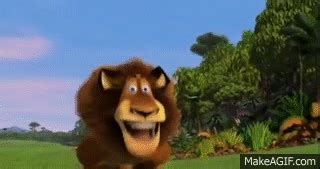 Madagascar - Alex and Marty Play tag and Race. on Make a GIF