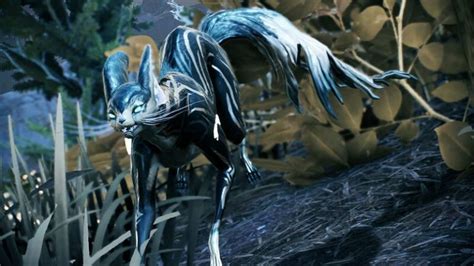 Warframe: Kavat - How to Get - Guide and Tips | GamesCrack.org